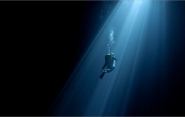 Diving Into the Darkness