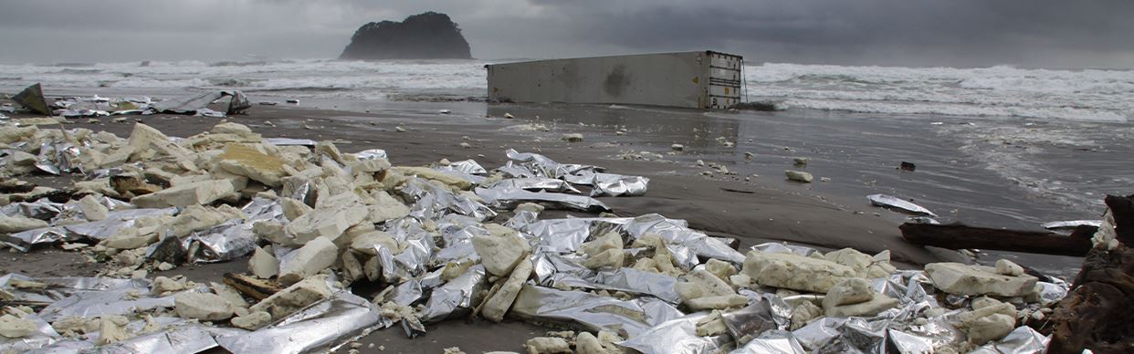 Taking Back Our Beach