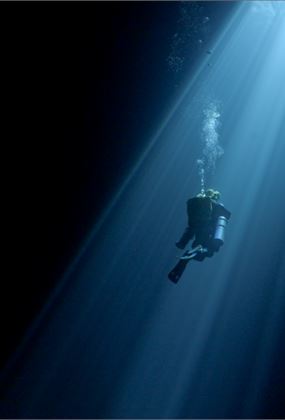 Diving Into the Darkness